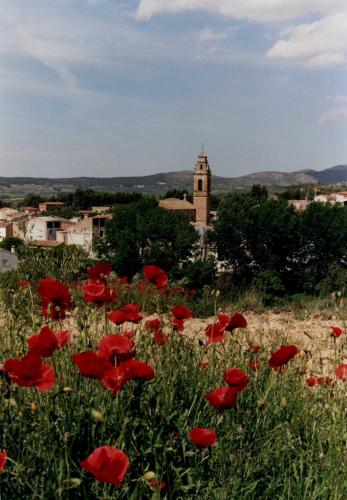 Apartamento Rural Alfawara