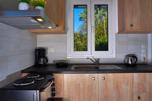 مطبخ, House in Εndless green - Arethousa, Ikaria in Patmos