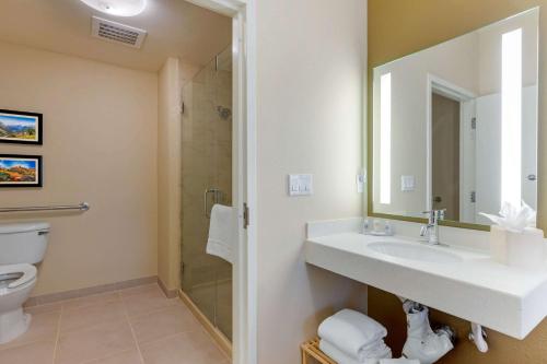 Accessible Room,, 1 King Bed, Transfer Shower, Non Smoking