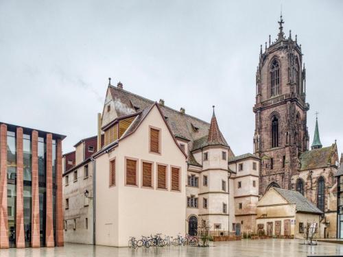 Sober Holiday Home in Selestat near Humanist Library gîte à louer Sélestat