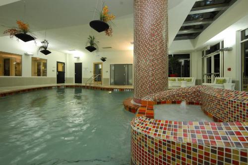 Holiday Inn - Sarasota Bradenton Airport an IHG Hotel - image 12