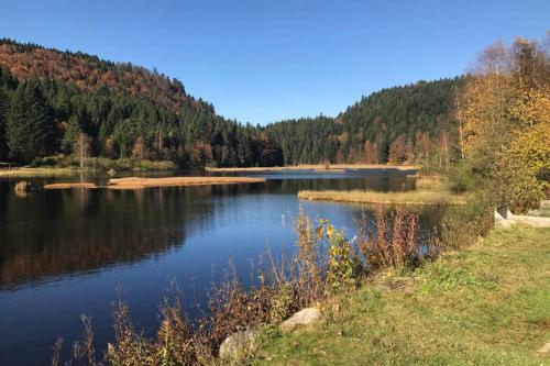 Lullaby House - Large, full comfort 5 star chalet house in the Vosges