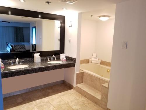 Wyndham Houston near NRG Park/Medical Center