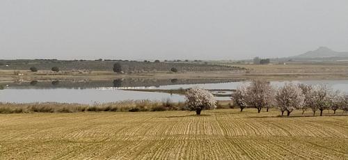 Casa Rural La Galana Albacete