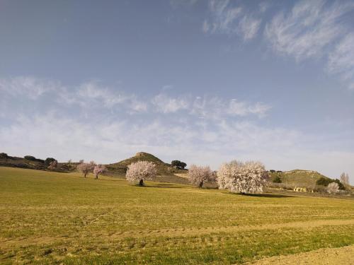 Casa Rural La Galana Albacete