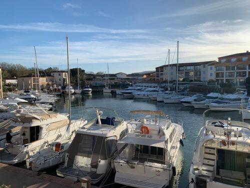 Port Cogolin Vue Bateau - Location saisonnière - Cogolin