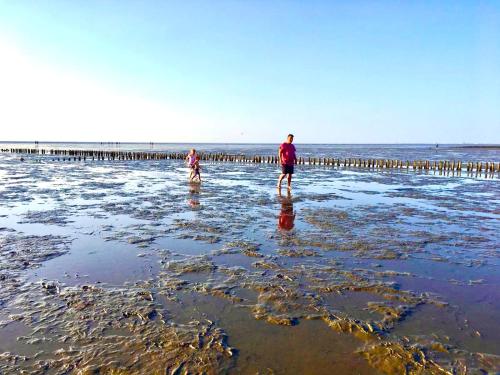 Deichoase Strandhaus in Friedrichskoog-Spitze, Deutschland