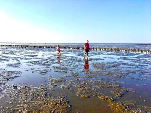 Deichoase Strandhaus in Friedrichskoog-Spitze, Deutschland