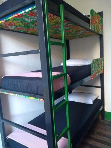 Lapa Casa Hostel - image 5