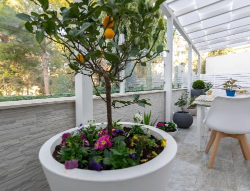 Viesnīcas āriene, Apollo Bed & Breakfast in Villaggio Peruzzo