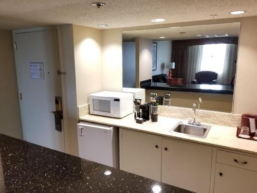 Wyndham Houston near NRG Park/Medical Center