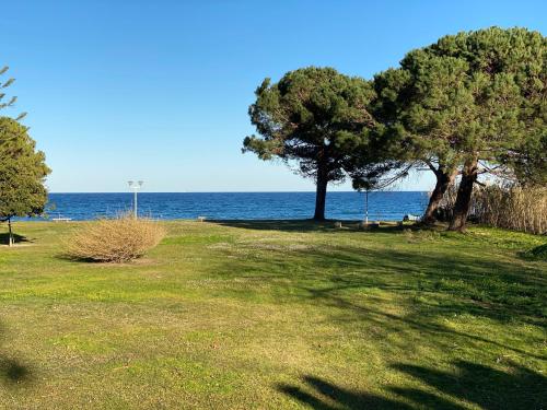 Residence Santa Lucia, studio avec piscine , vue mer et pied dans l'eau , Moriani-Plage