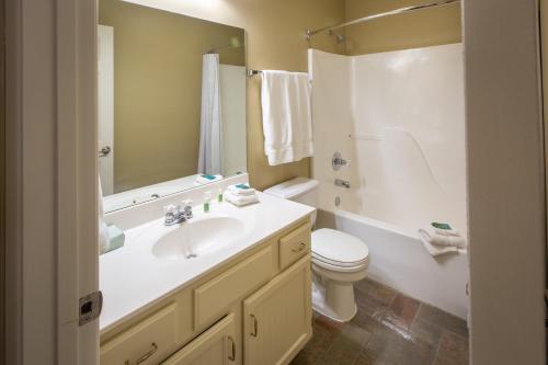 Holiday Inn Club Vacations - Timber Creek Resort an IHG Hotel - image 3