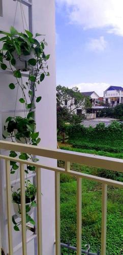 Star Garden Hoi An - 발코니/테라스