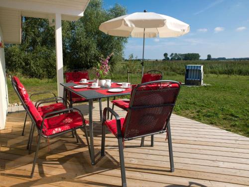 Dänische Ferienhäuser am Salzhaff Haus Vogelparadies - main image