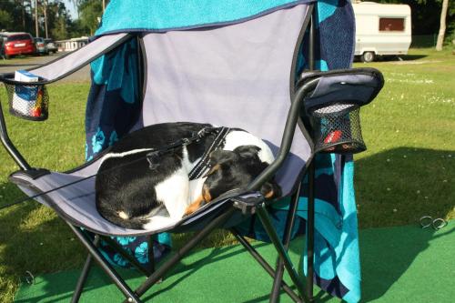 Bromölla Camping o Vandrarhem - image 6
