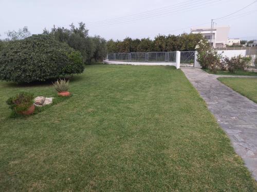 Holiday home next to orange tree orchard