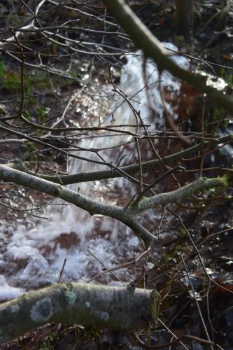 Наличие на забележителност наблизо, Vittebrook in Barsbek
