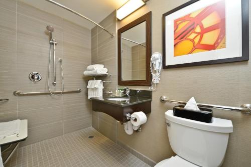 Holiday Inn Lower East Side, an IHG Hotel - image 11