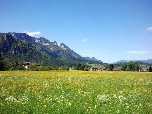 Hotel Hubertus Garni - image 3