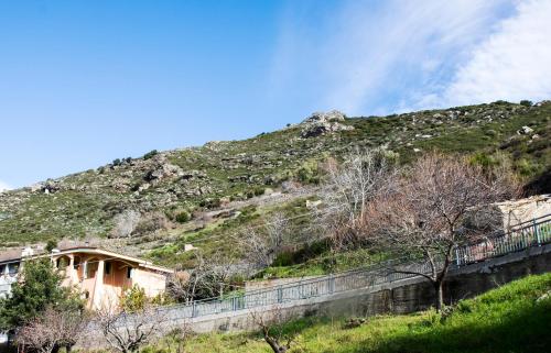 Skats, Pagu Pagu de Paradisu - A little bit of paradise in Gairo