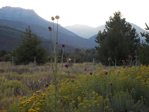 Κήπος, La Holandesa B & B in Βίγια Λάγκο Μελικίνα