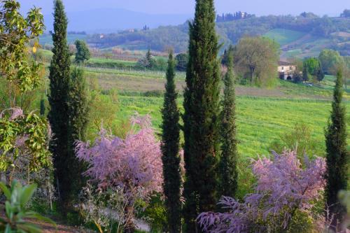 Giaggiolo - Tap to explore photos