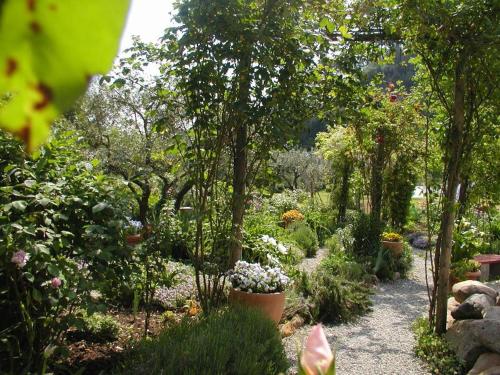  Adorable Tuscan cottage with beautiful garden just outside Lucca, sleeps 4 in Capannori