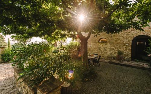 Tenuta Quarrata - image 9