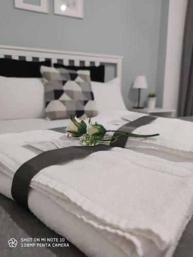 Lost In Florence Room Type - Superior Double Room