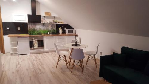 Apartamenty - Pod Wierzbami in 德維哥濟