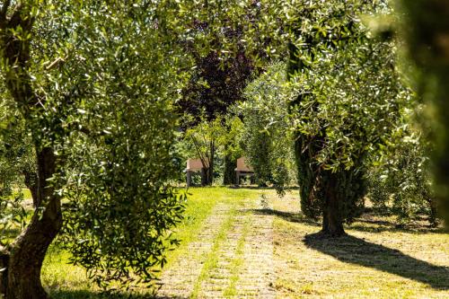 Tenuta Quarrata