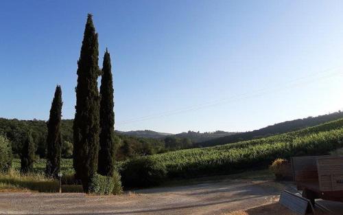 Casa Alla Madonna - Photo 3