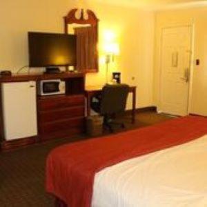 Lake View Inn & Suites - image 3