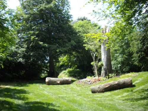 Holiday Inn Wolverhampton - Racecourse an IHG Hotel - image 10