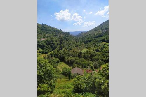 周邊環境, Casa da quintinha - Turismo rural in 基馬拉斯市中心