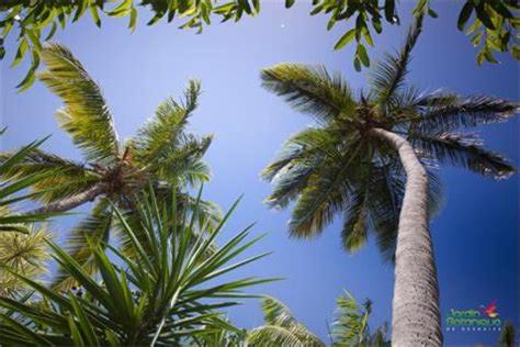 Studio de Vacances a GOSIER