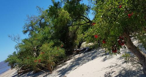 La Monturera, Loft de campo