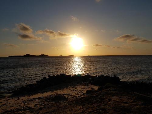 La Monturera, Loft de campo