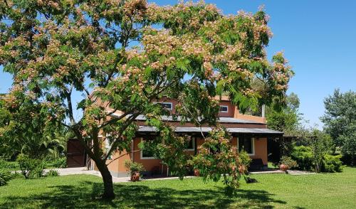 La Monturera, Loft de campo