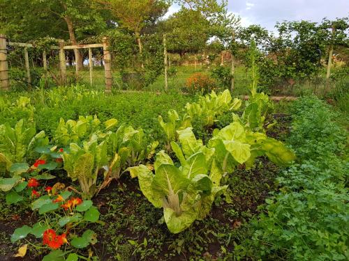 La Monturera, Loft de campo
