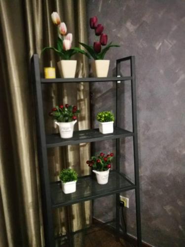 Perfect Getaway @Vivacity Perfect Getaway @Vivacity