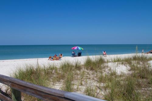 Coral Falls- Celeste Dr./Lely - image 2