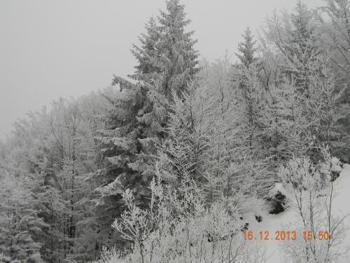 Létesítmények, Cabana Larisa in Cavnic