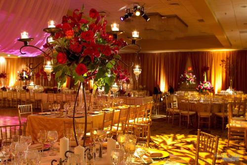 Radisson Hotel Reading - image 9