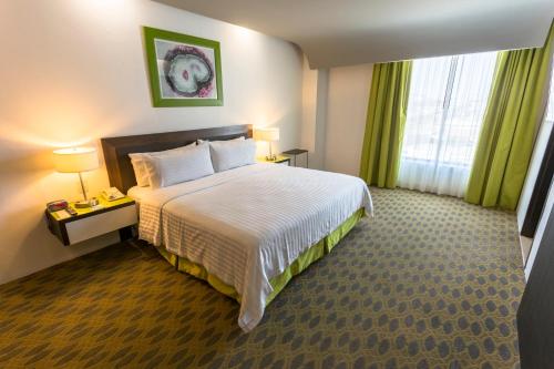 克雷塔罗卵克里斯塔尔假日酒店 克雷塔罗卵克里斯塔尔假日酒店