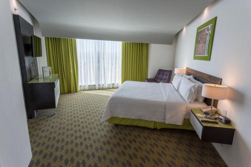 克雷塔罗卵克里斯塔尔假日酒店 克雷塔罗卵克里斯塔尔假日酒店