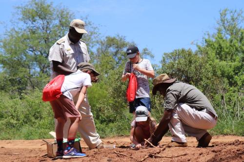 Karongwe Portfolio- Shiduli Private Game Lodge