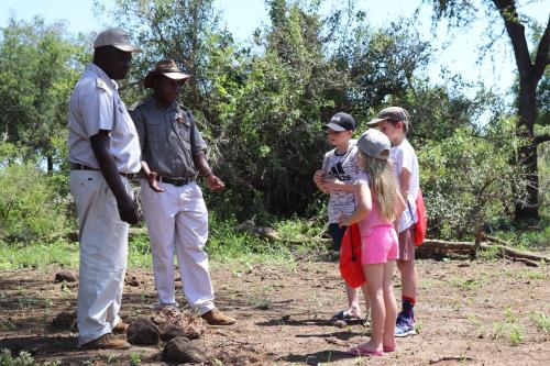 Karongwe Portfolio- Shiduli Private Game Lodge