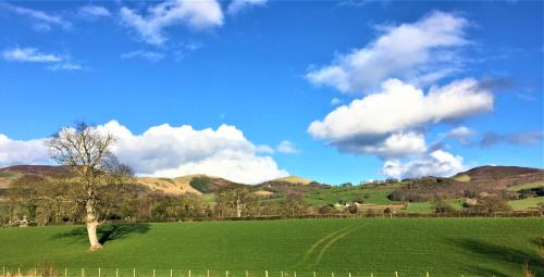 Heron's View